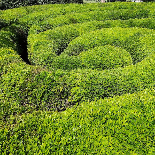 Marvel at the Majestic Cliffs and Surreal Gardens of Étretat - Where Nature Meets Art.