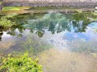 【ウブド】水の寺院！ティルタ ウンプル寺院で沐浴に挑戦！！