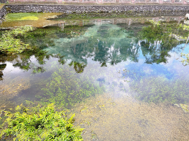 【ウブド】水の寺院！ティルタ ウンプル寺院で沐浴に挑戦！！