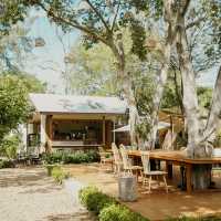 PLIK VIVEK Café HuaHin 