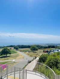 【兵庫県:淡路島】淡路島観光に外せないお花畑！！