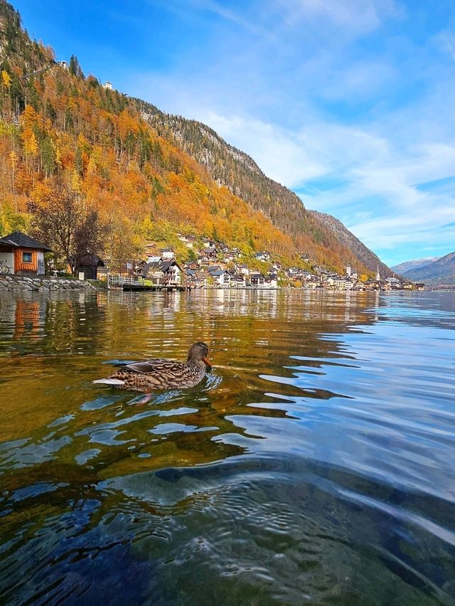 A Magical Experience in Hallstatt – A Must-Visit Austrian Gem