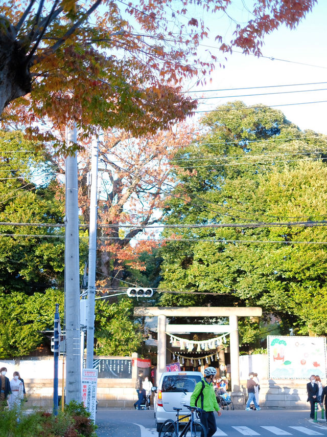 🇯🇵川越｜用釣的魚形神籤 🐟