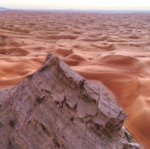 Exciting Dune bashing & Camel experience in Dubai Desert