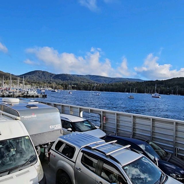 Road to Bruny Island: A Scenic Drive, Stunning Views, and Fresh Oysters Await