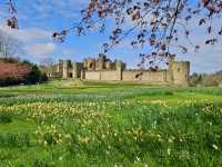 英國Northumberland Alnwick Castle阿尼克城堡 - 哈利波特的拍攝場地之一