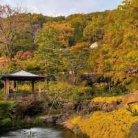 Hwadam Botanical Garden - South Korea