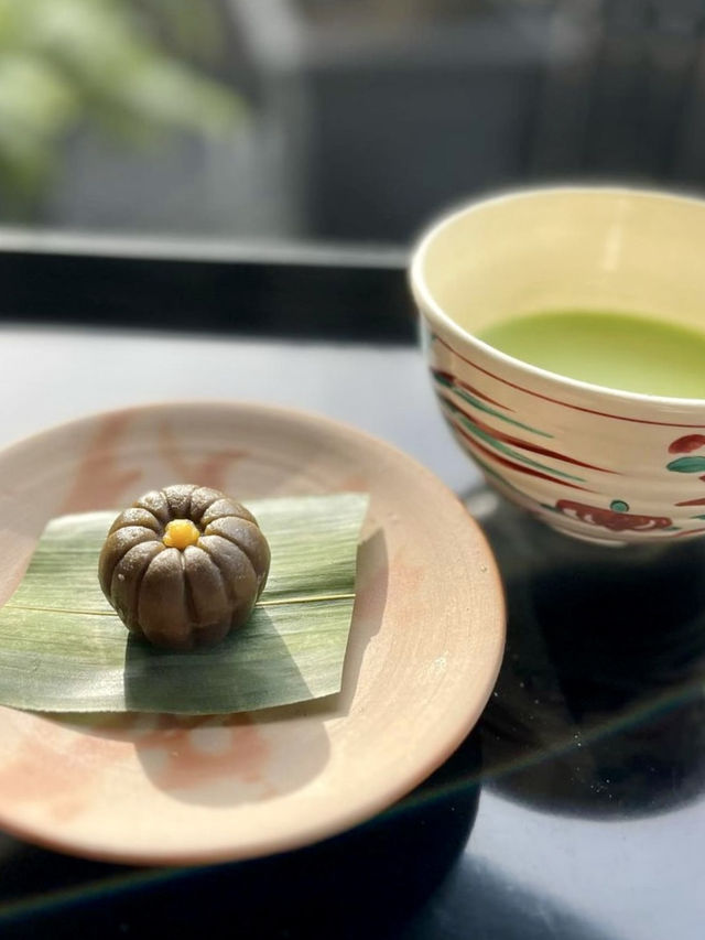 🌳 우거진 나무 정원 속 오사카 🍵일본식 디저트 카페 핫플 투어 추천 💚