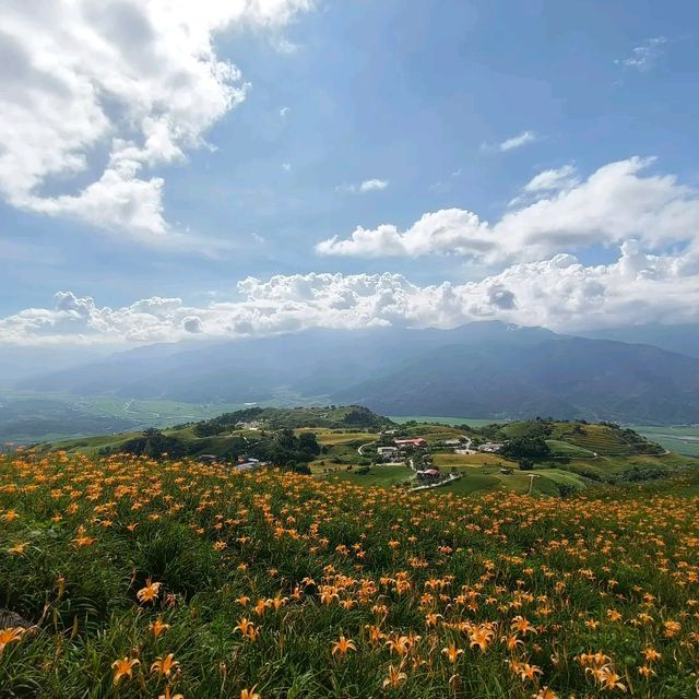 夏末限定，金色山脈充滿
