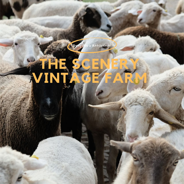 The Scenery Vintage Farm