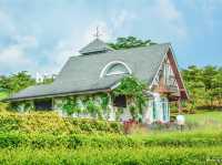เที่ยวสวิตเซอร์แลนด์เมืองไทย เขาค้อ