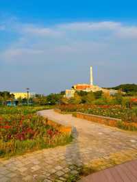 김포 한강 신도시의 숨은 보석, 호수공원 장미원