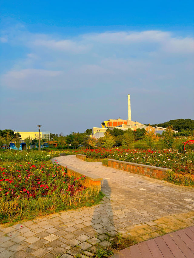 김포 한강 신도시의 숨은 보석, 호수공원 장미원