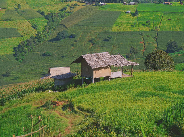 บ้านพักแฮเก นาขั้นบันไดป่าบงเปียง