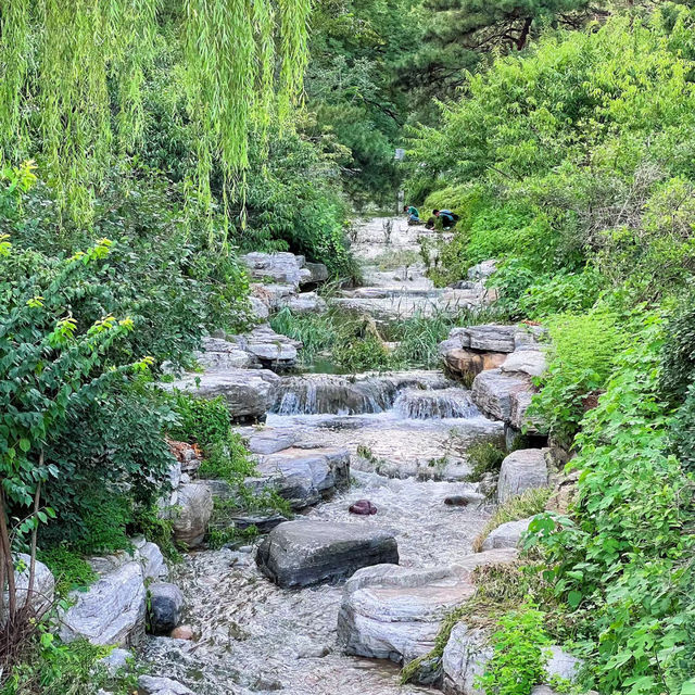 ～中山逍遙谷～靜謐之旅～