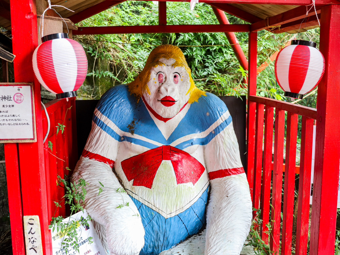 1mi6y224x8wmqel6d6C60.jpg?proc