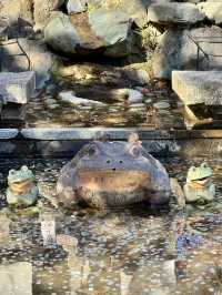 【京都嵐山】世界遺産天龍寺の紅葉✨ 曹源池庭園！