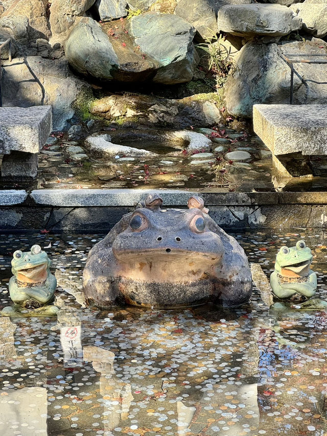 【京都嵐山】世界遺産天龍寺の紅葉✨ 曹源池庭園！