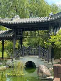 도심 속 중국식 전통공원 월화원 🌿