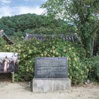 영주 no.1 관광명소 선비촌