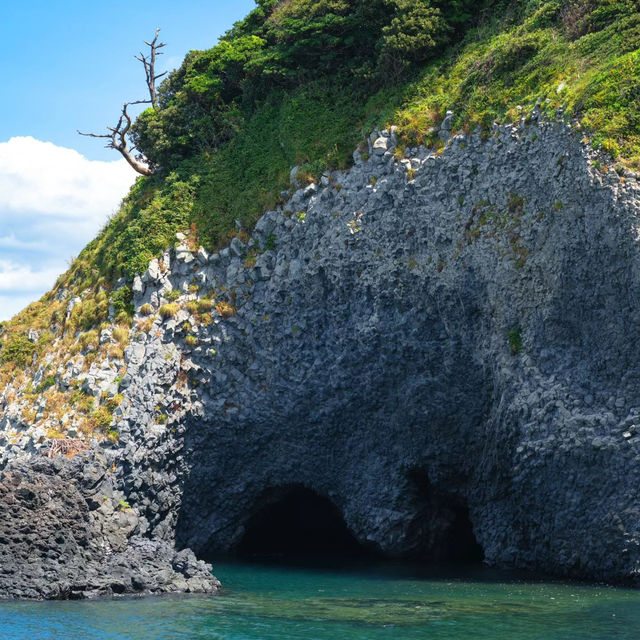 八丈島：悠閒小島的慢生活🌴🌊