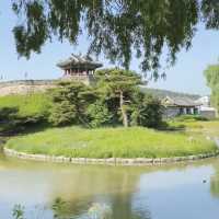 Suwon - Hwaseong Ancient Fortress 