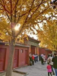 Autumn in the Forbidden City: A Journey Through History and Beauty 