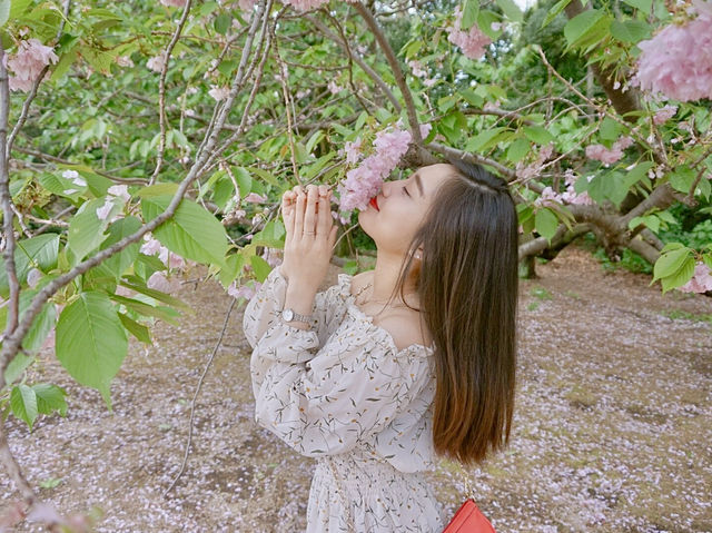 도쿄 도심에 위치한 신주쿠공원