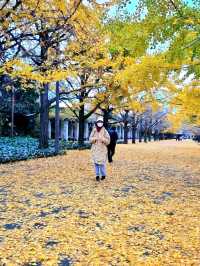 BEST AUTUMN DESTINATION IN ASIA : JAPAN