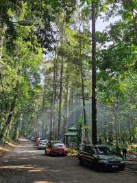 Escape to Nature: Sungai Congkak Recreational Forest