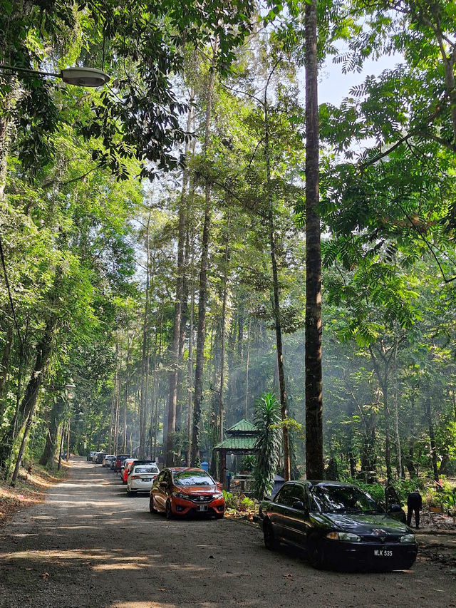 Escape to Nature: Sungai Congkak Recreational Forest