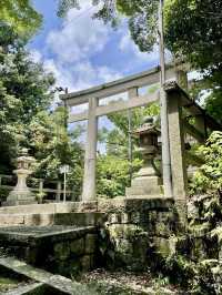 【京都府】青空に映える朱塗りの社殿