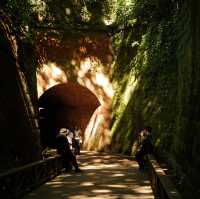 【神奈川/猿島】東京からも簡単に行ける無人島‼︎