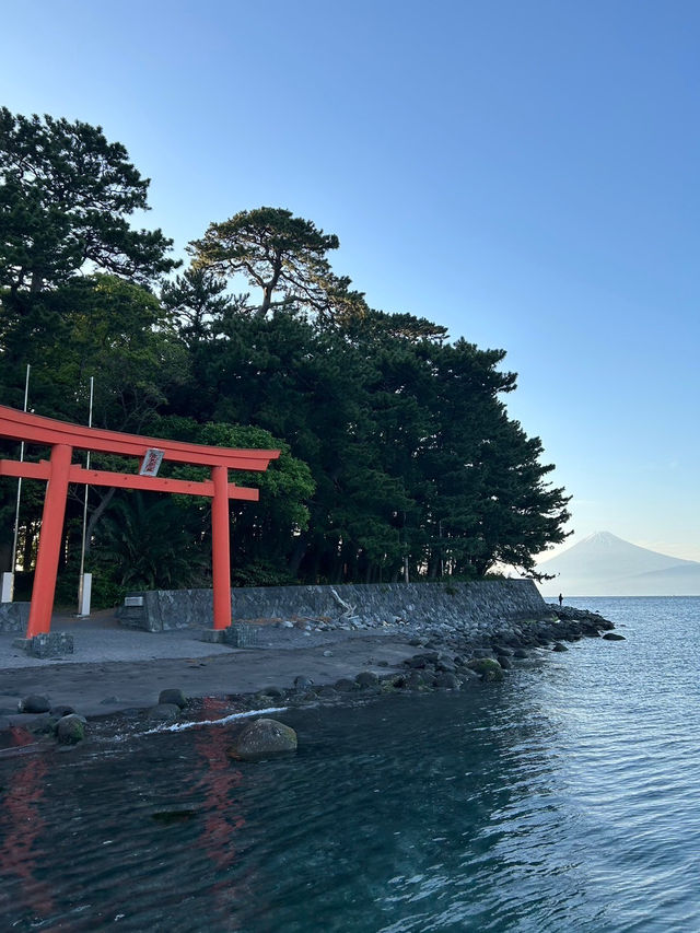 【伊豆沼津】日本一キレイな海ランキング1位✨神秘的な鳥居と神社⛩️