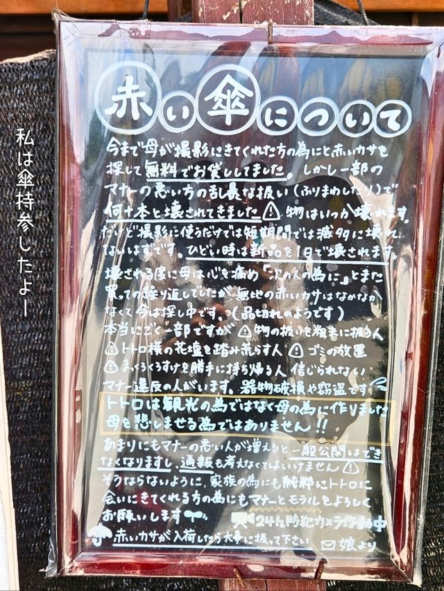 【宮崎】リアルジブリの世界『富土のトトロ』⁡⁡