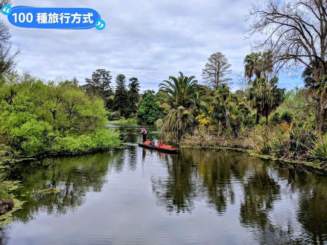 墨爾本賞花-南半球百花綻放的皇家植物園