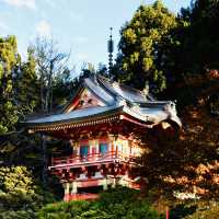 善學院：靜謐避風港 🍃⛩️