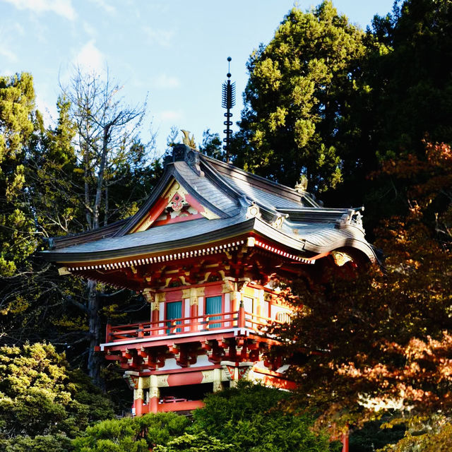 善學院：靜謐避風港 🍃⛩️