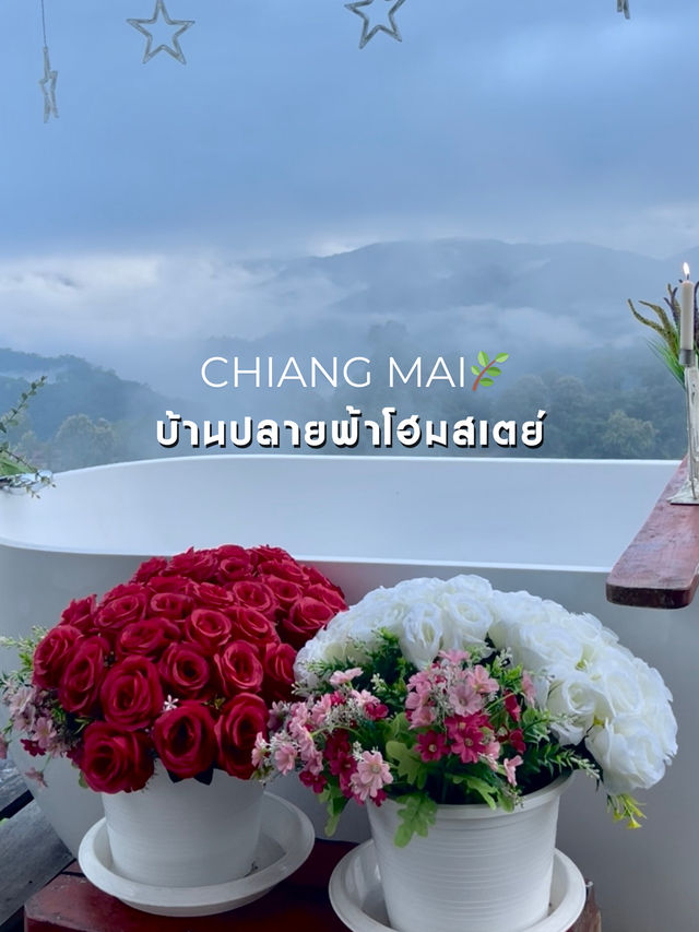 ฟินกับหมอกและอ่างอาบน้ำที่บ้านปลายฟ้า เชียงใหม่ 🛁