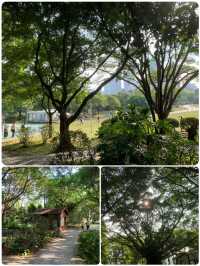 "深圳蓮花山風箏廣場：野餐放風箏的天堂" 🪁🌳🧺