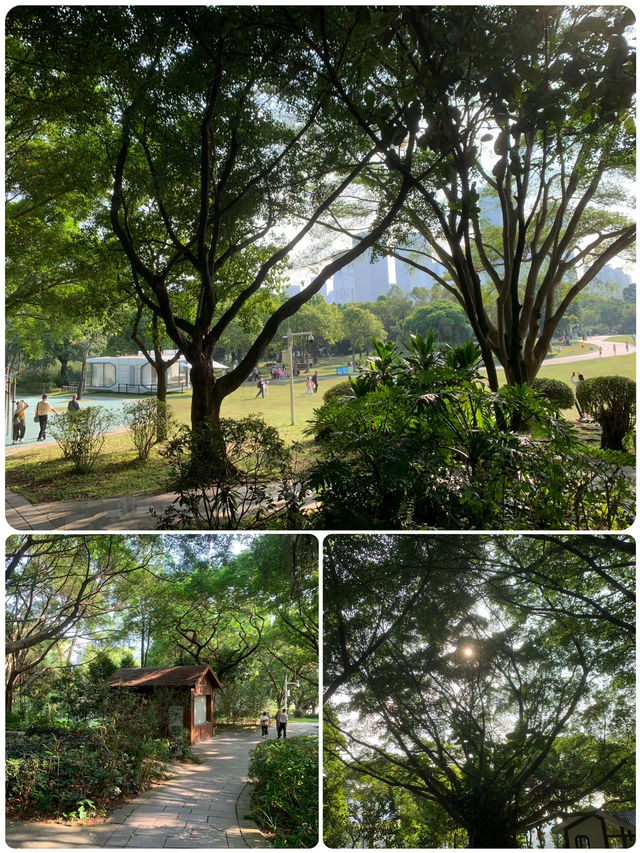 "深圳蓮花山風箏廣場：野餐放風箏的天堂" 🪁🌳🧺