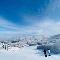 玩雪也可以選日本東北藏王