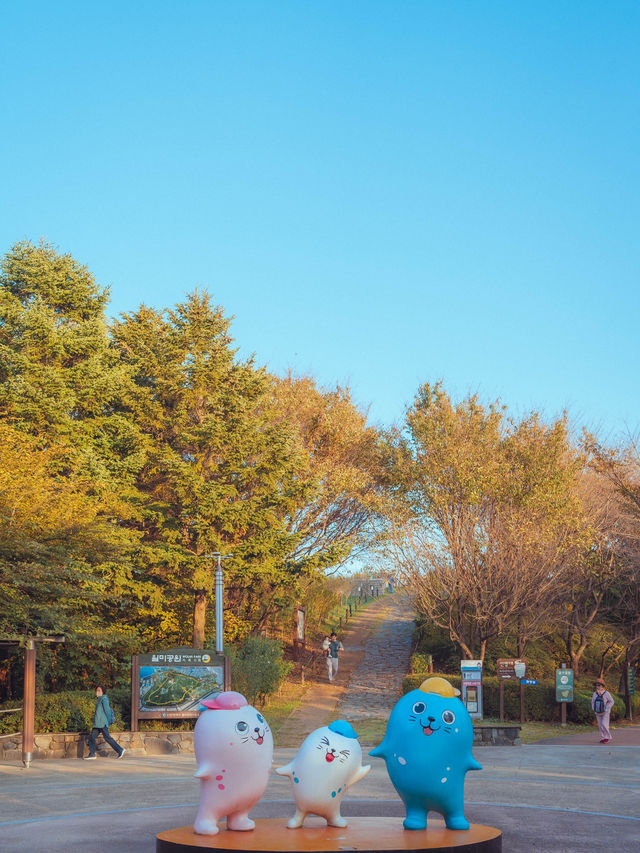 물범카 타고 서해바다를 한 눈에 담을 수 있는 이곳 “월미산 ” 