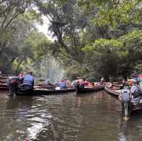 My Taman Negara Adventure!