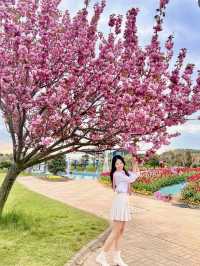 튤립맛집에서 만난 퐁실퐁실 겹벚꽃🌷