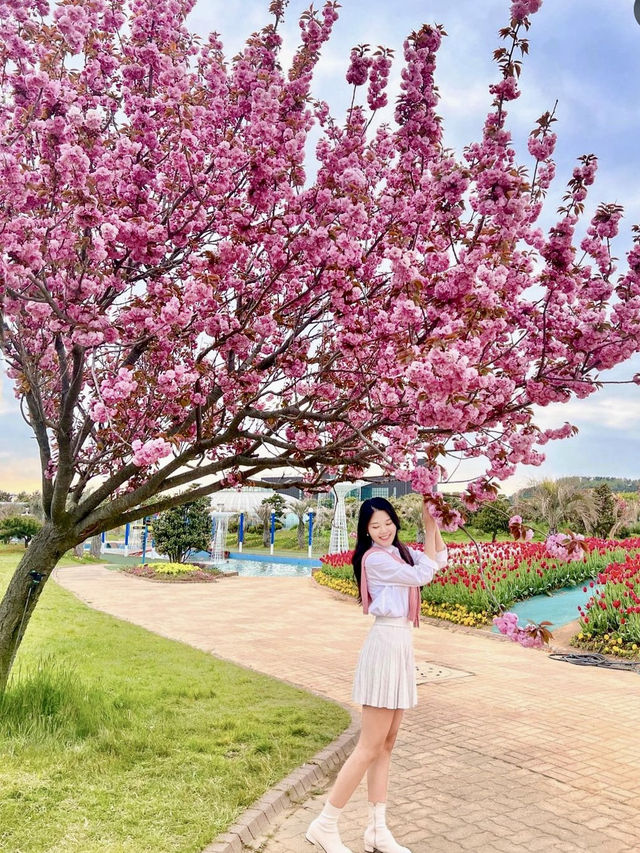 튤립맛집에서 만난 퐁실퐁실 겹벚꽃🌷
