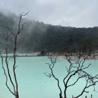Trip moment at Indonesia 