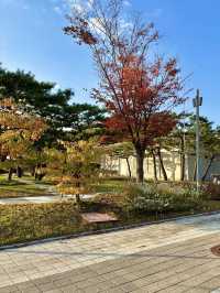 자연을 느끼기 완벽한 여유로운 공원 익산 미륵사지🌳