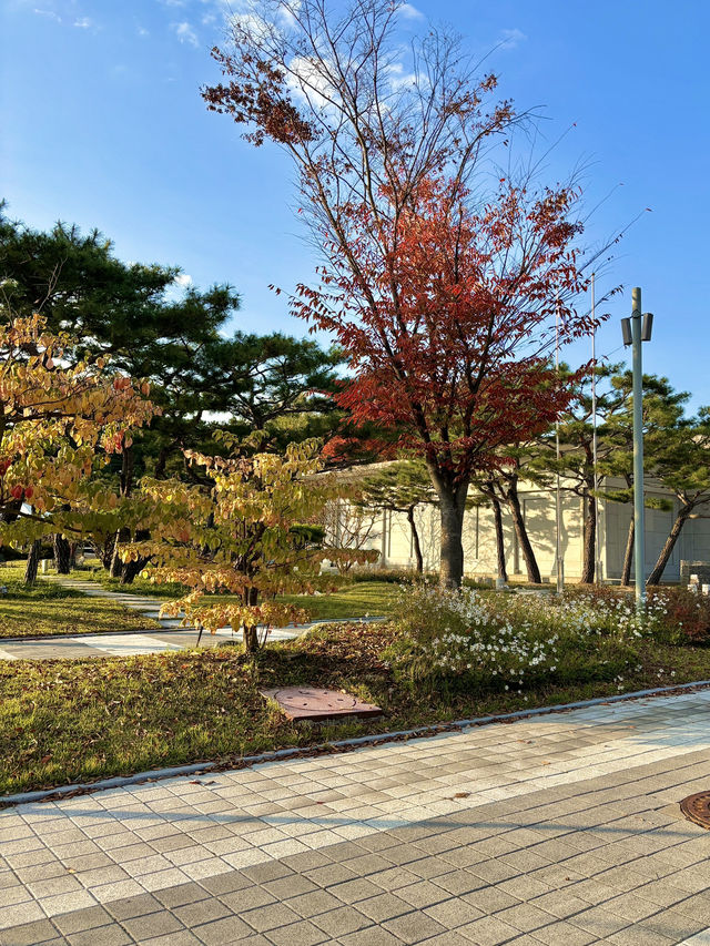 자연을 느끼기 완벽한 여유로운 공원 익산 미륵사지🌳