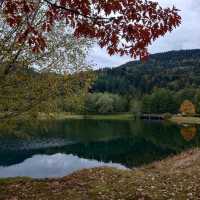 Vosges Mountains